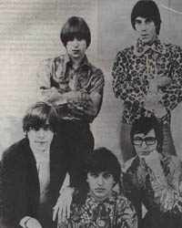Los Gatos