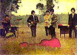 Los Gatos